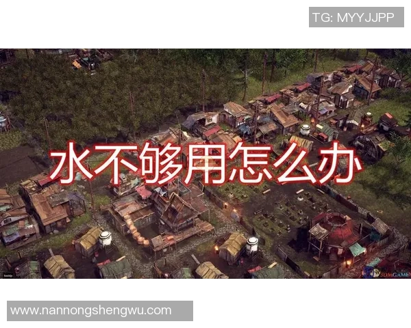 和平精英战术分析：WE战队包夹策略的成功与不足之处探讨